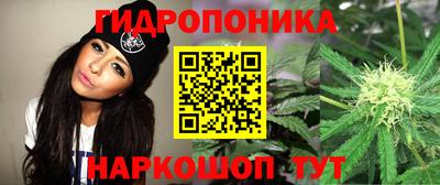 синтетический гашиш Кингисепп